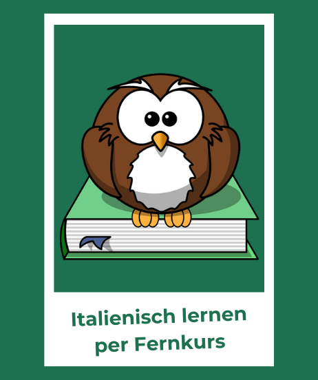 Teaser-Bild für Fernkurse - Eule auf Buch