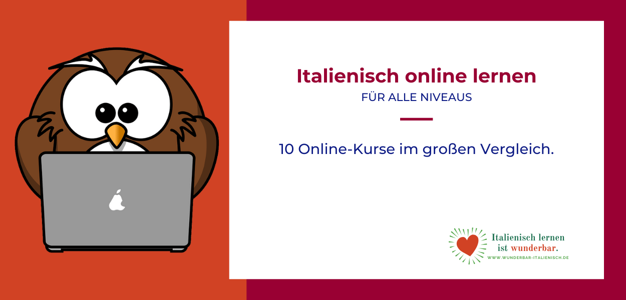 Teaser-Bild für Online-Sprachkurse - Eule vor Computer mit beschreibendem Text